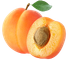 shape